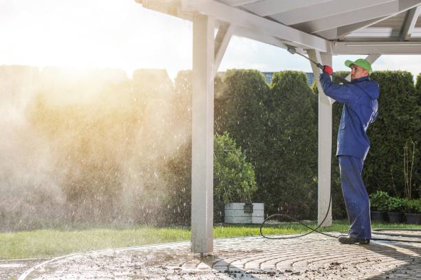 Best Sidewalk and Walkway Cleaning  in Navy Yard City, WA
