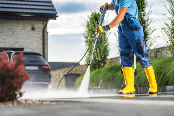 Best Soft Washing  in Navy Yard City, WA